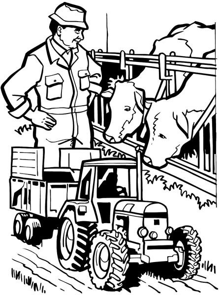 Farmer feeding cows with tractor in foreground vinyl sticker. Customize on line.     Agriculture Crops Farming Tractor Farmer Cows 003-0123  